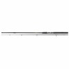 Windstorm 300 50-100g