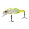 Fat Minnow 40 - SFC Special