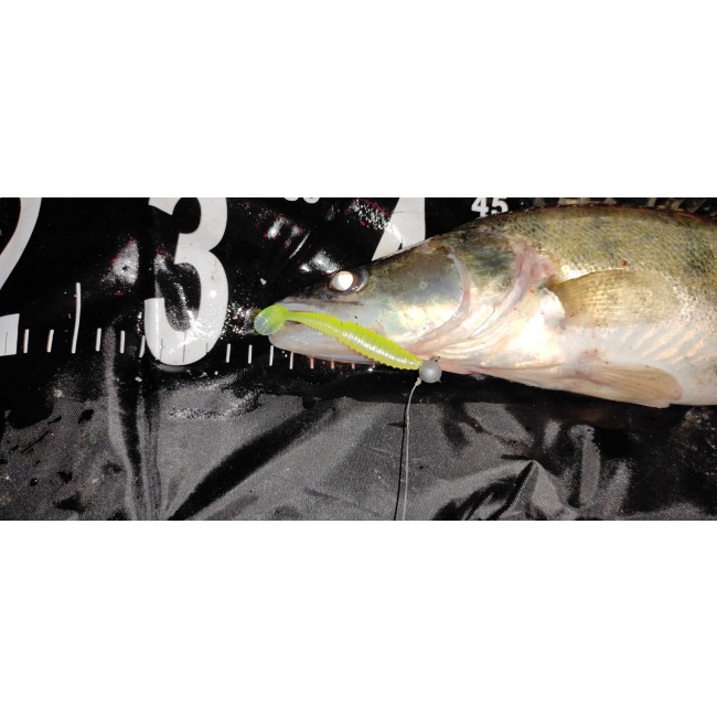 Zander Power Shad 8cm 5db/cs (Poison green)