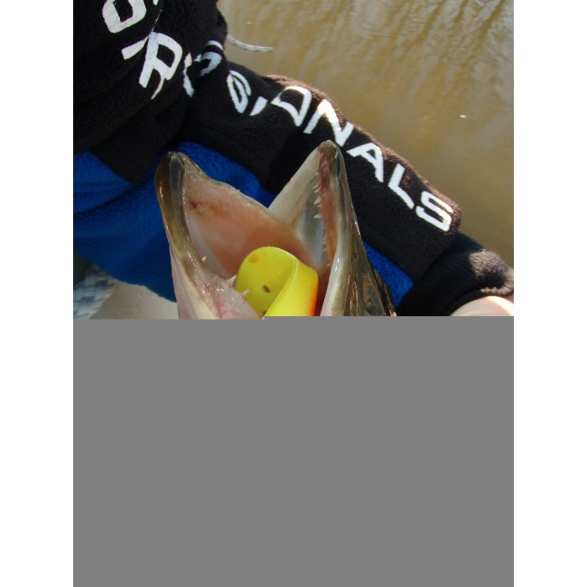 Twister Shad Nevis  3db/cs (Classic White)
