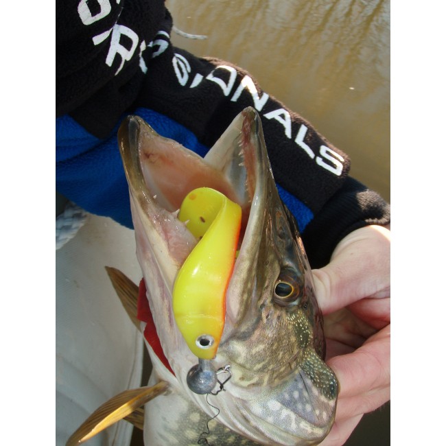 Twister Shad Nevis 3db/cs (Bleak)