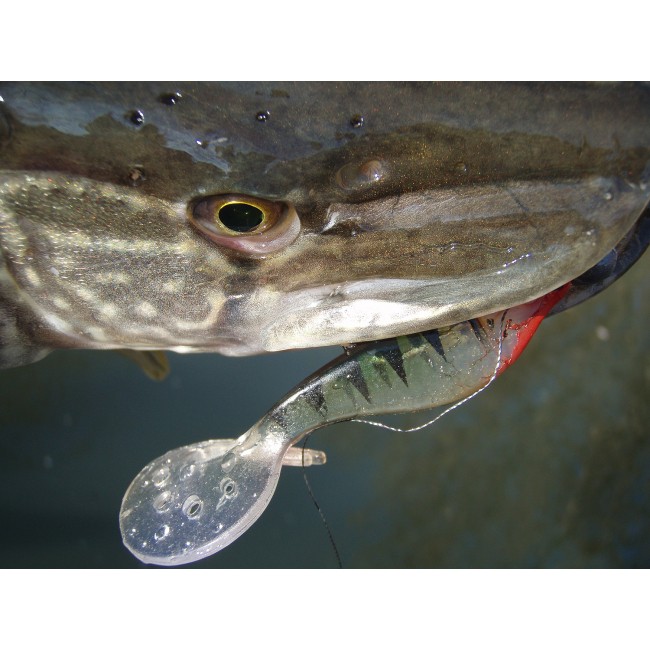 Twister Shad Nevis 3db/cs (Flash Chartreuse)
