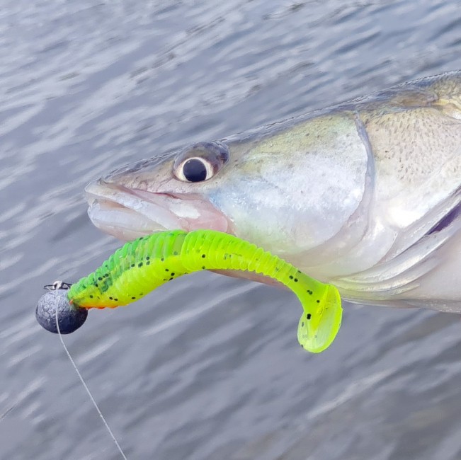 Zander Power Shad 8cm 5db/cs (Flash Chartreuse)