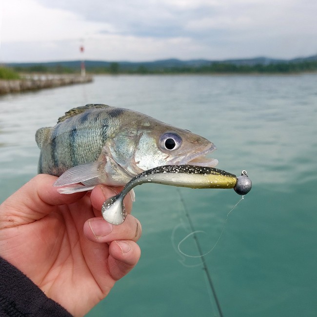 Reiva Ultra Strong Jig Head 2-7g  4db/cs