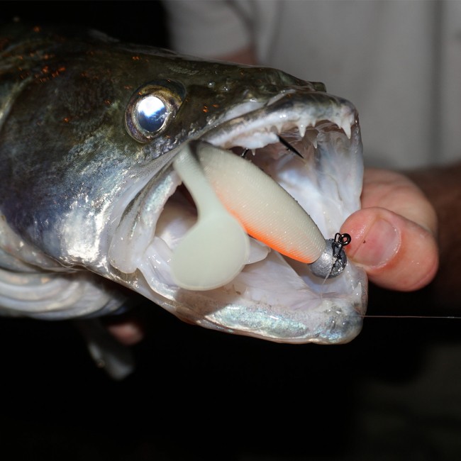 Flat Minnow shad 12,5cm 3db/cs (UV Roach)
