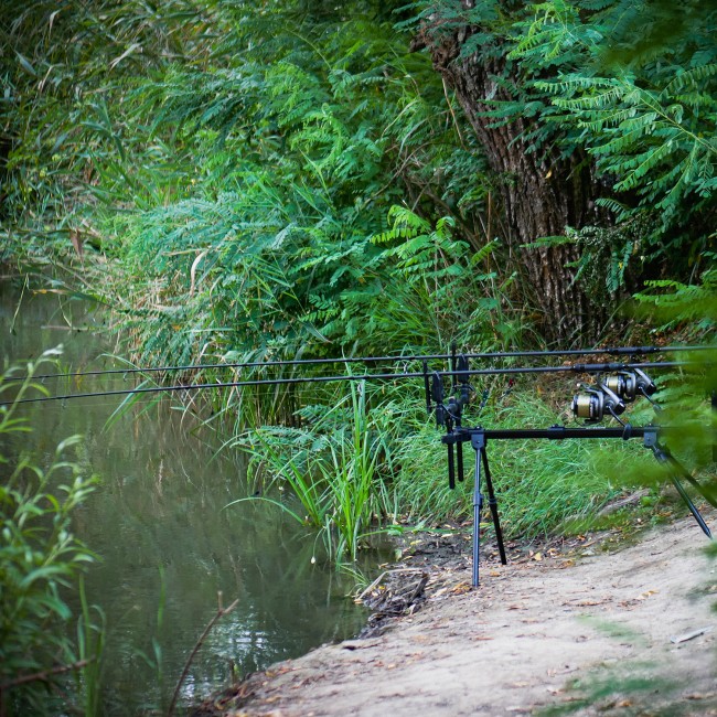 Mojo LC 360 3,5lb