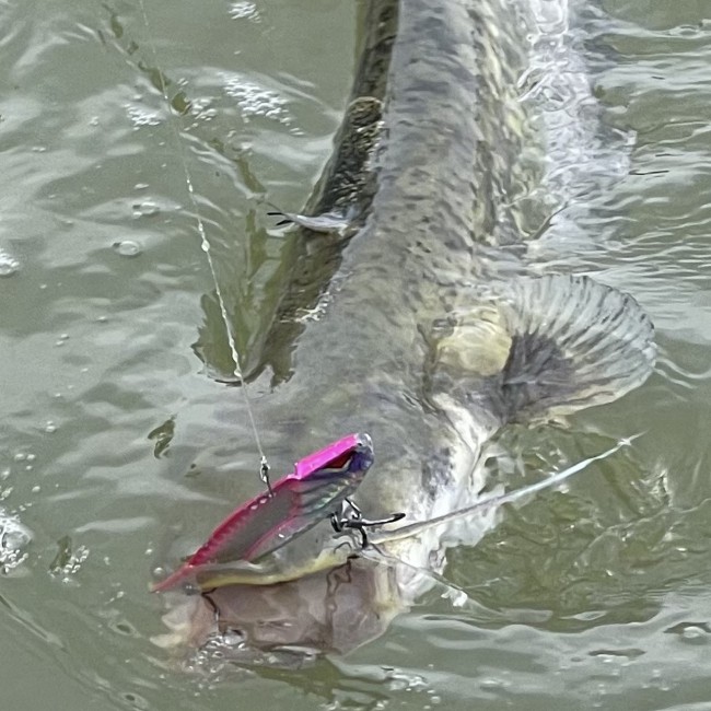 Blademaster II 83mm 28g (Pink Ghost)