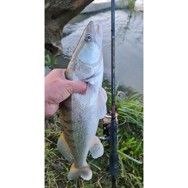 FineMaster Spinning 2.10m  2-12g