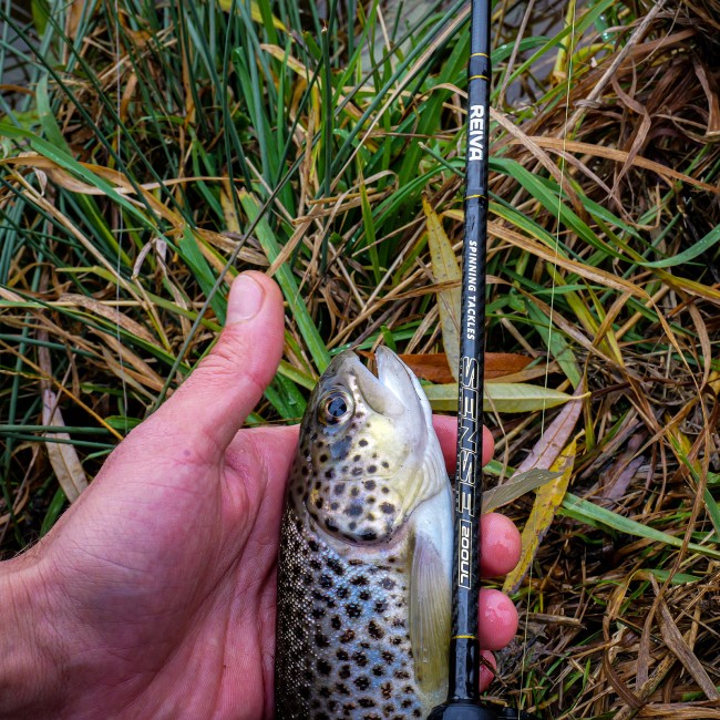 Sense Spin 200UL 1-7g