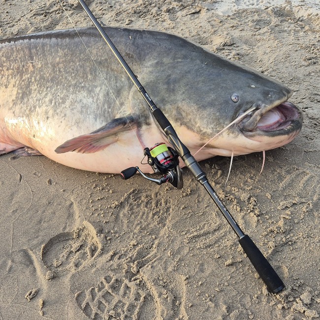 Reiva Silent 135m 0,23mm Fluo Green