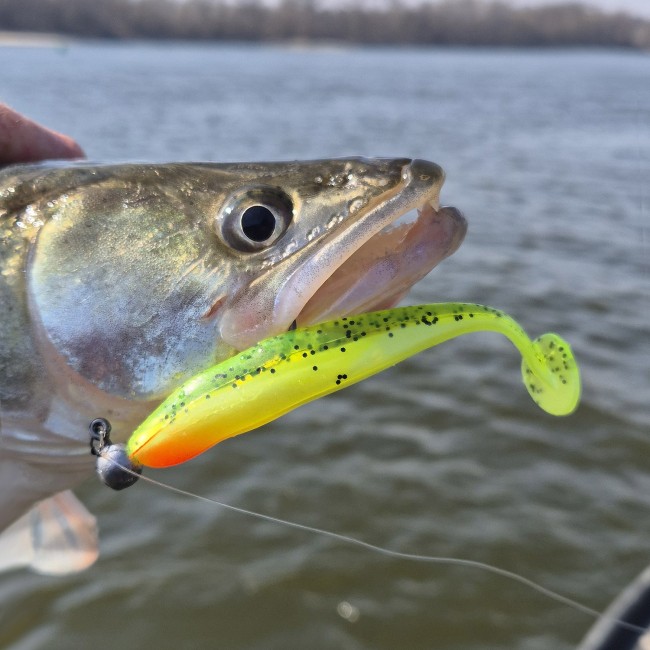 Flash Shad 12.5cm 3db/cs  (Poppy green)