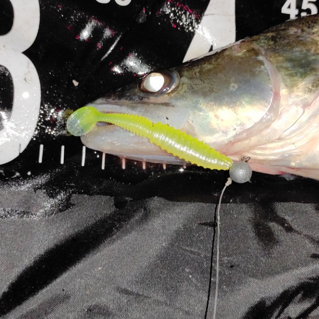 Zander Power Shad 12,5cm 3db/cs (Flash Chartreuse)