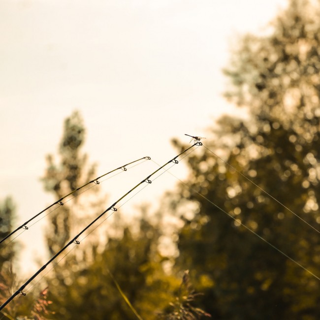 Barbel River Feeder 390XXH 100-250g