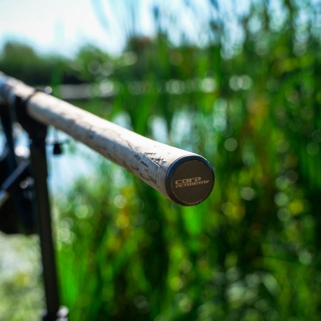 Endless Carp 300 2lb