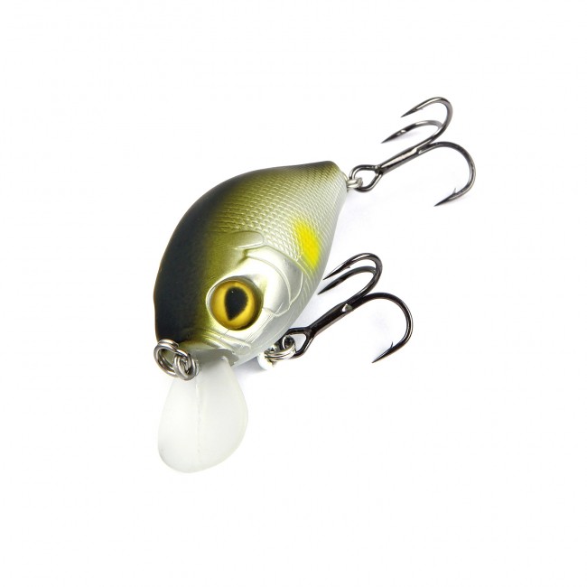 Chubby Junior 45 Mat Ayu