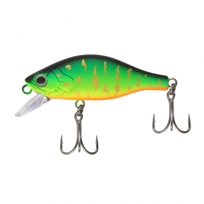Fat Minnow 50 - Golden Tiger