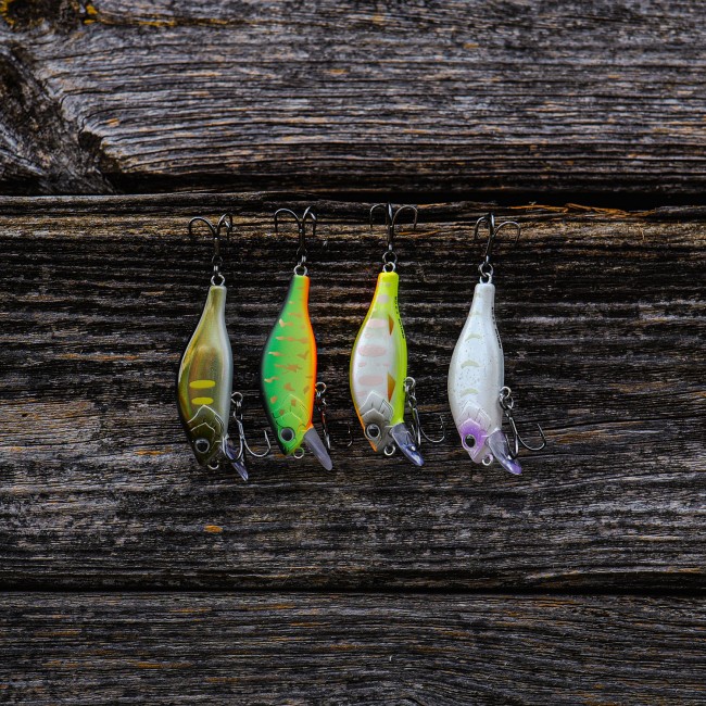 Fat Minnow 50 - SFC Special