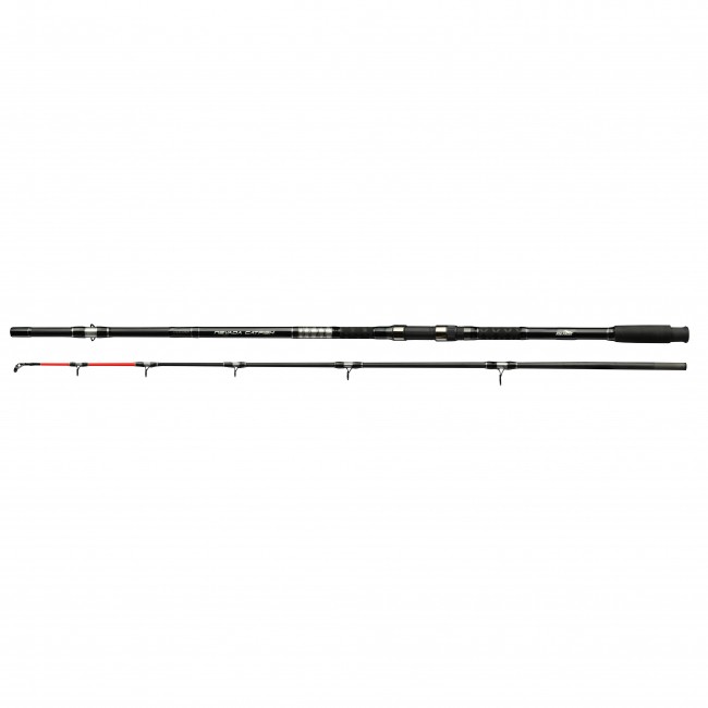 Nevada Catfish 240 300-500g