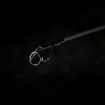 Endless Carp 390 3,5lb