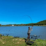 Endless Carp 300 3lb