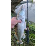 FineMaster spinning 250 10-30g