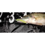 Zander Power Shad 8cm 5db/cs (Salt and Pepper)