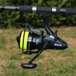 Torrent Carp 5000 5+1cs