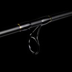 Motive Carp 300 3lb 2r