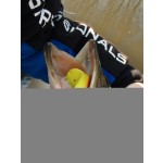 Twister Shad Nevis  3db/cs (Classic White)