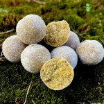 Stég High Carb Boilie 20mm 800g Amur-Grasscarp 