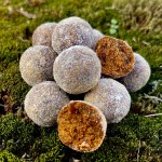 Stég High Carb Boilie 24mm 800g Spicy-Mango 