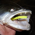 Flash Shad 12.5cm 3db/cs  (Poppy green)