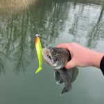 Reiva Fluorocarbon 50m/0.22mm