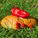 Stég Bionic Boilies 20mm 800g Paprika Bread