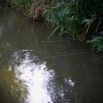 Mojo LC 390 3,5lb