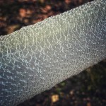 PVA háló Four Season utántöltő 22mm 5m  AKCIÓ -30%