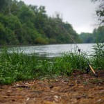 Method Carp Feeder 360MH 40-100g