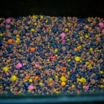 Stég Pva-Spod Mix 3-5-8mm 800g Fruit 