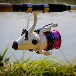 Method Carp Feeder 6000 5+1cs