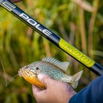 Dynamic Pole 700