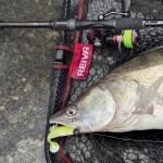 Escape Spinning 235MH 10-30g