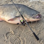 Reiva Silent 135m 0,21mm Fluo Green