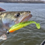 Flash Shad 12.5cm 3db/cs  (Poppy green)