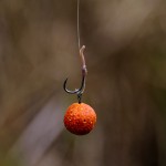 Stég Long Life Boilie 20mm 800g Spicy Mango