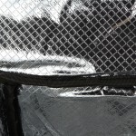 Base Carp Cool Bag 25x12x17