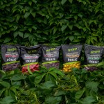 Stég Bionic Boilies 20mm 800g Sweet Spicy