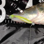 Zander Power Shad 12,5cm 3db/cs (Flash Lemonade)