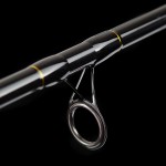 Windstorm 300 50-100g