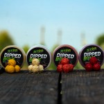 Stég Dipped boilie 100g 20 mm Honey-Tigernut