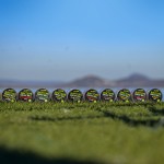 Stég Wafters Smoke Ball 7-9mm 15g Paprika Bread